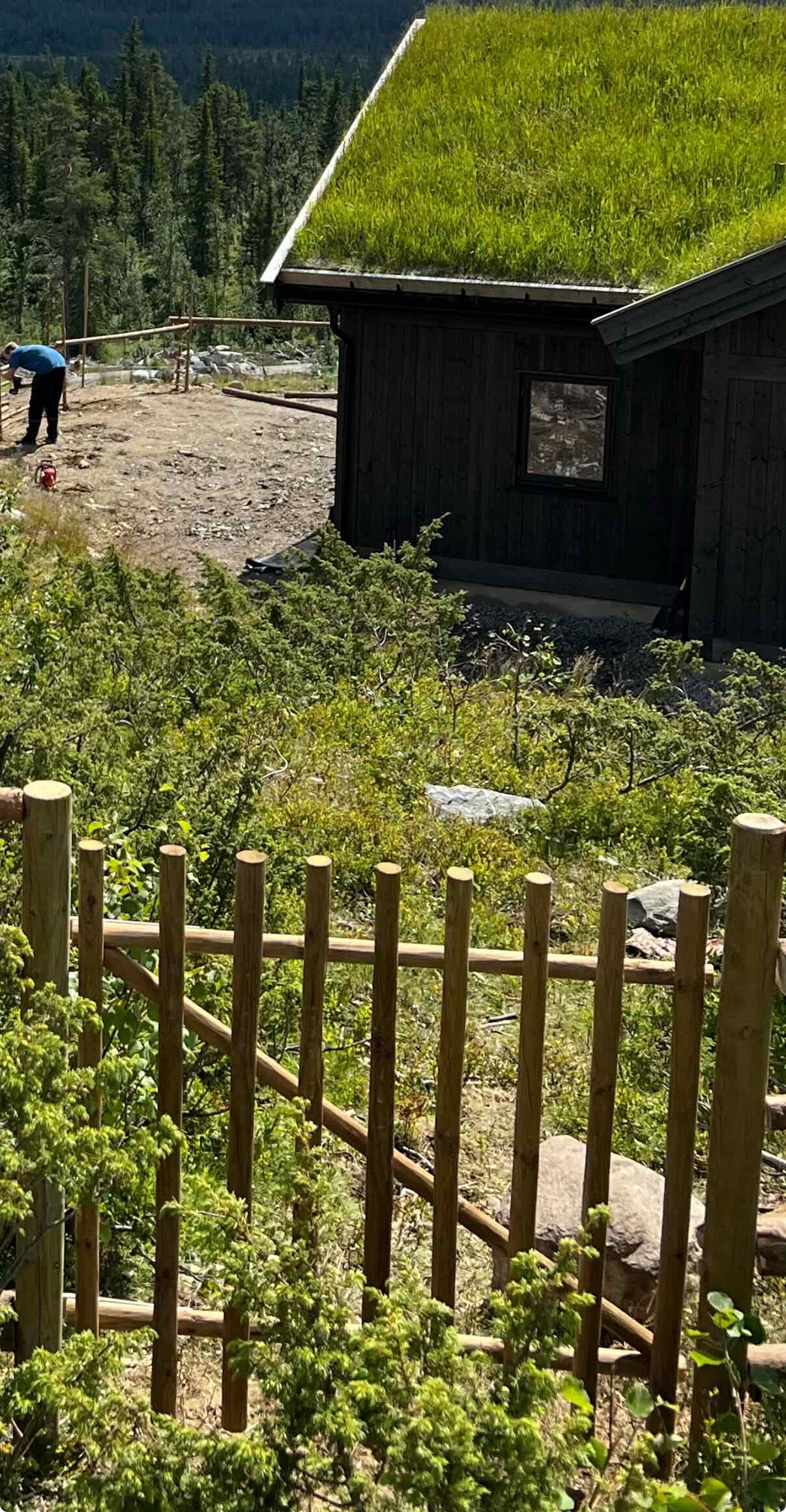 Gåport og nettinggjerde